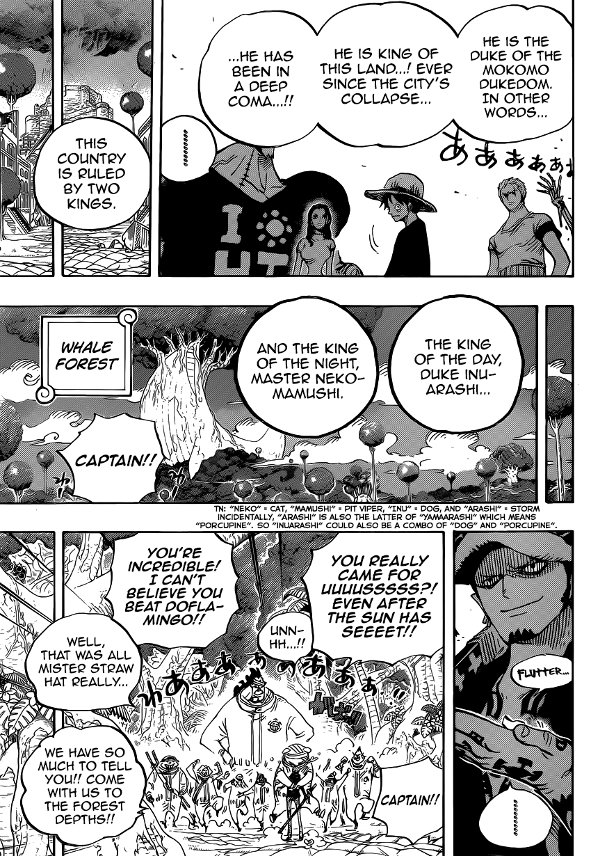 One Piece, Chapter 807 image 15